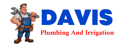 Trusted plumber in VIDOR